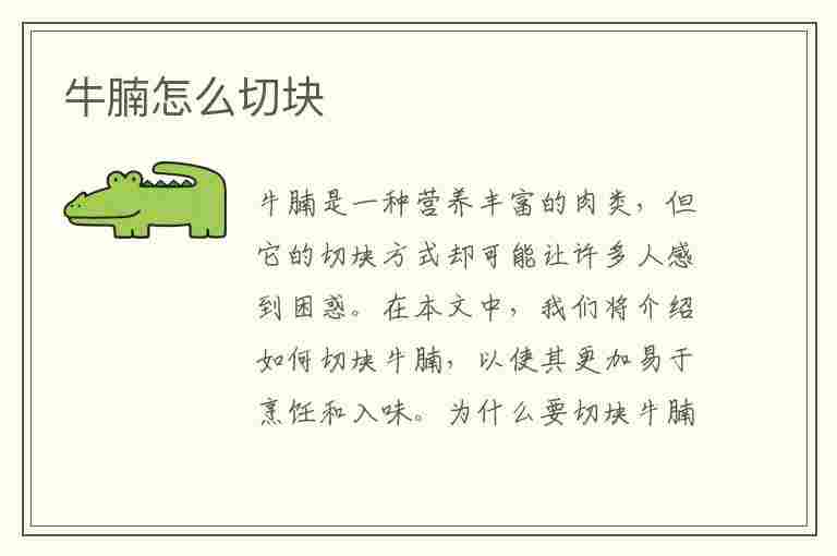 牛腩怎么切块(牛腩怎么切块视频)